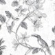 Toucan Toile Wallpaper